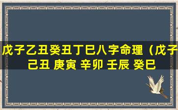 戊子乙丑癸丑丁巳八字命理（戊子 己丑 庚寅 辛卯 壬辰 癸巳 甲午 乙未）